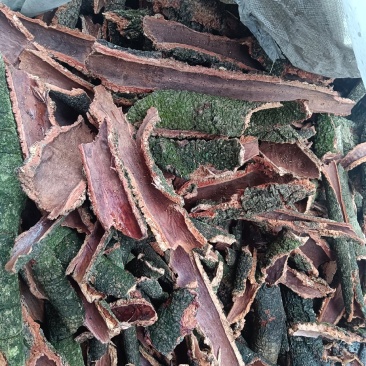 杨梅树皮干货厚皮新货量大优惠