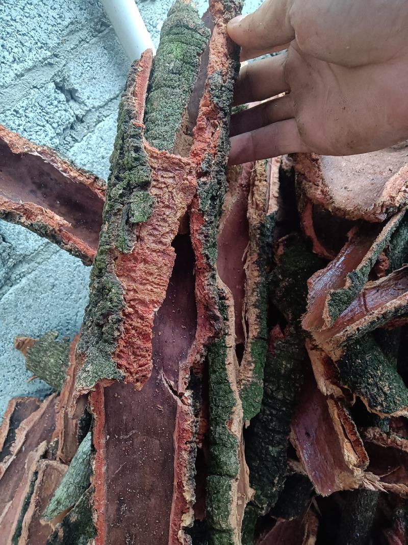 杨梅树皮干货厚皮新货量大优惠