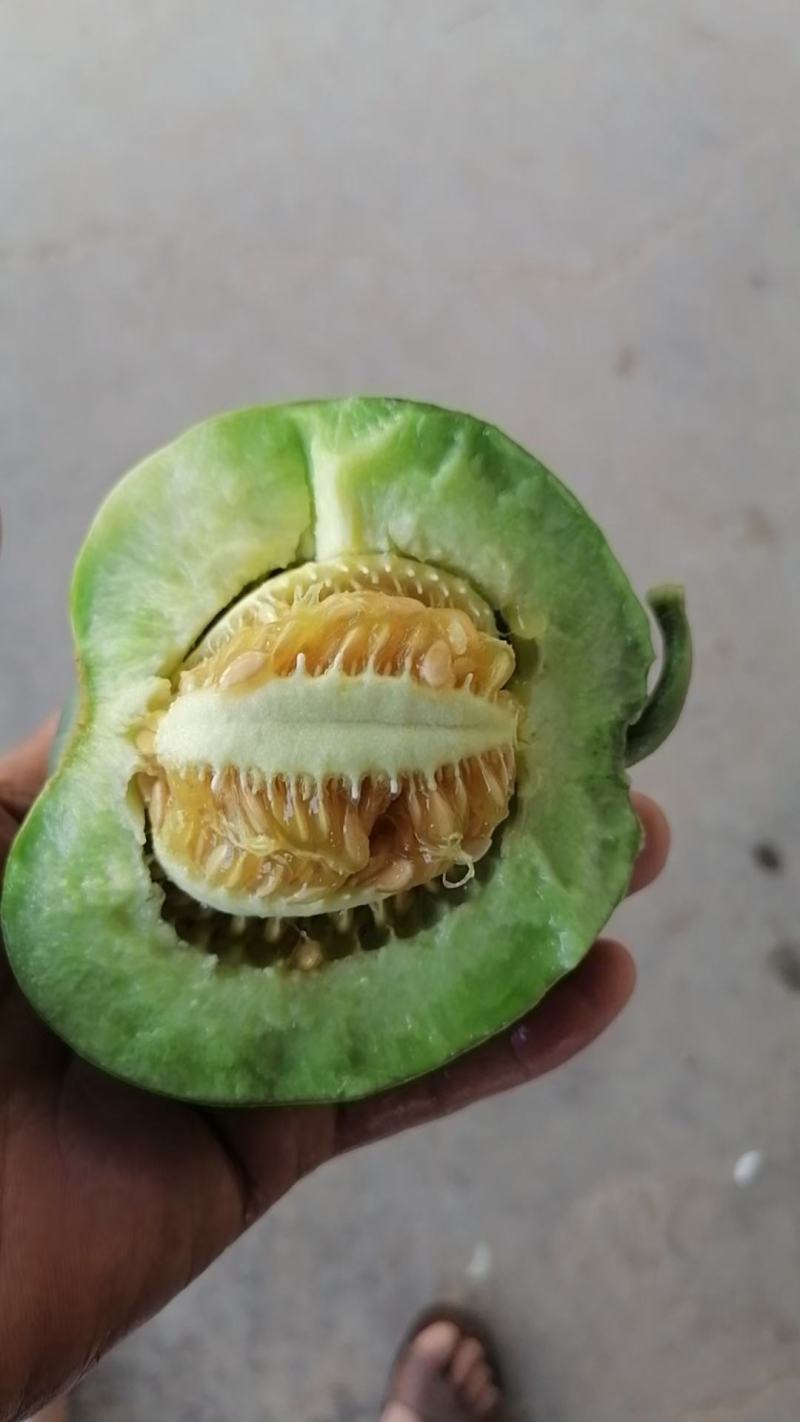 产地直发保质保量量大从优