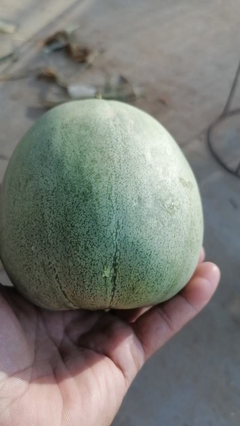 产地直发保质保量量大从优