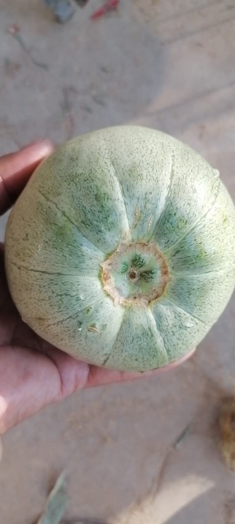 产地直发保质保量量大从优