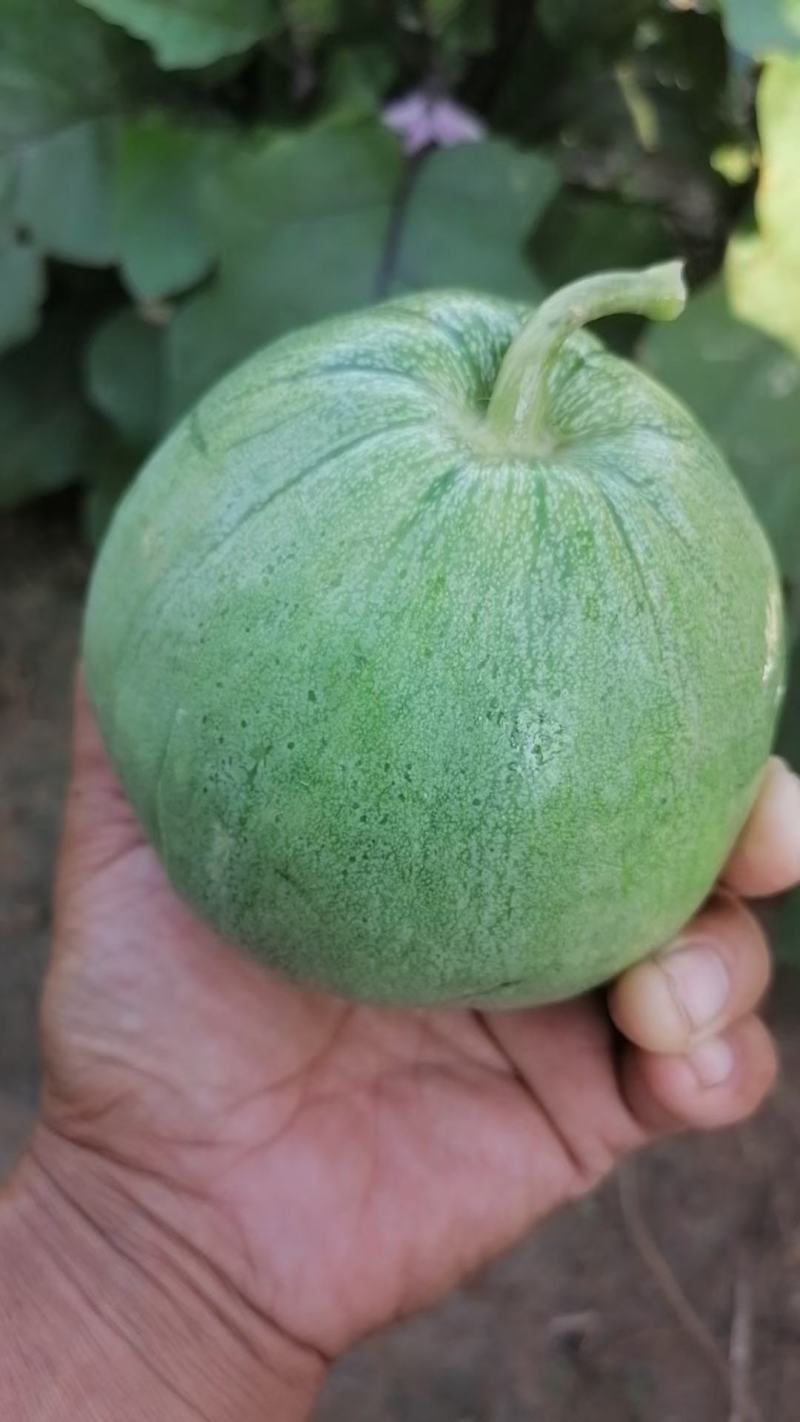 产地直发保质保量量大从优