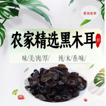 【黑木耳】精选家乡特产黑木耳干度好颜色佳量大从优常年有货