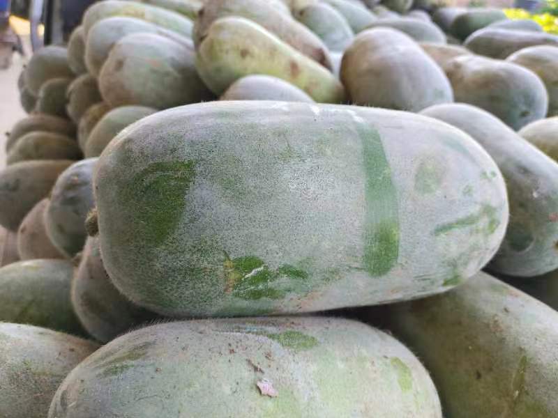 冬瓜切片示意图