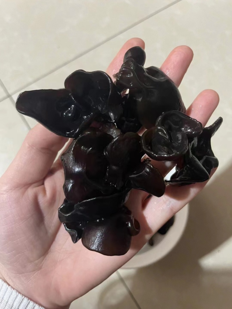 【黑木耳】精选家乡特产黑木耳干度好颜色佳量大从优常年有货
