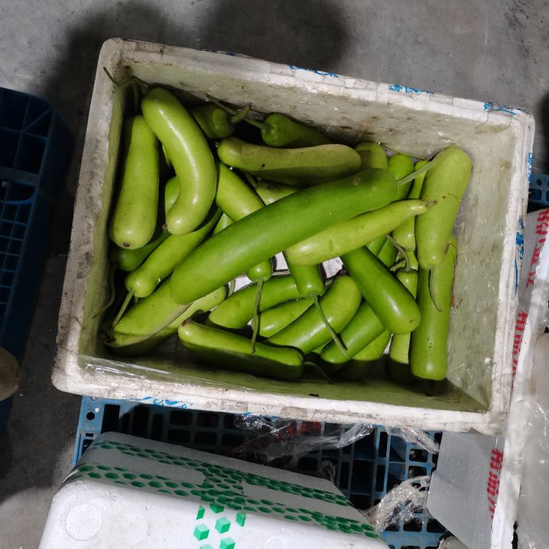平台配送，分拣过的菜，品像不太好了，上海周边可联系，有需