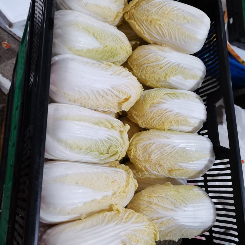 平台配送，分拣过的菜，品像不太好了，上海周边可联系，有需