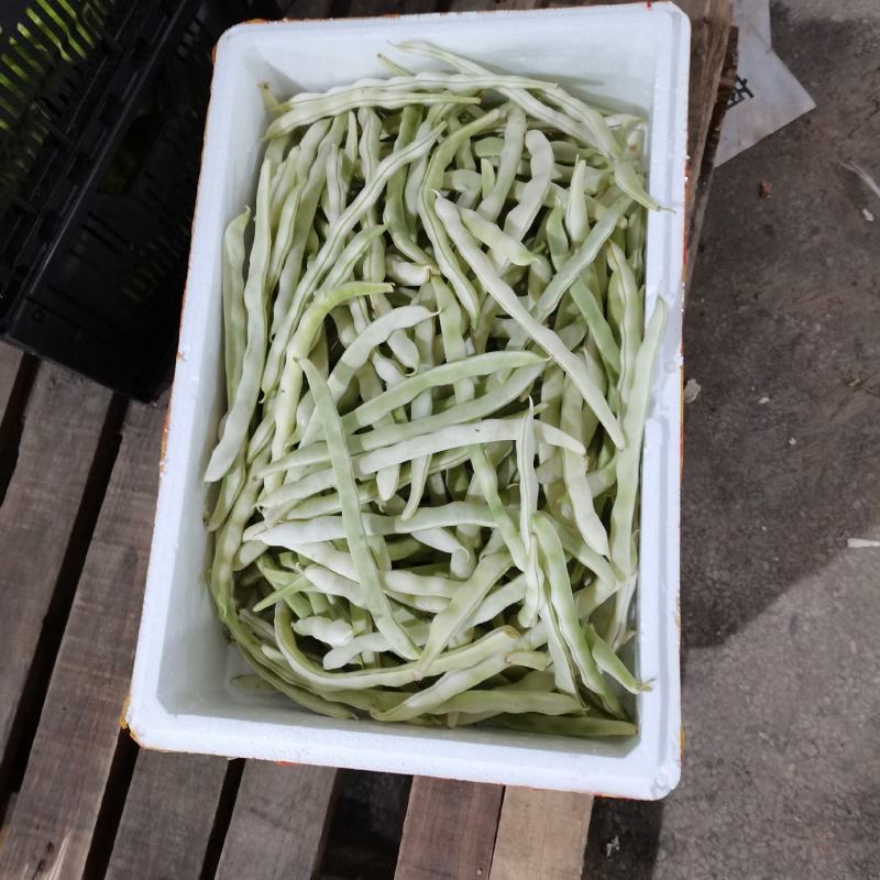 平台配送，分拣过的菜，品像不太好了，上海周边可联系，有需