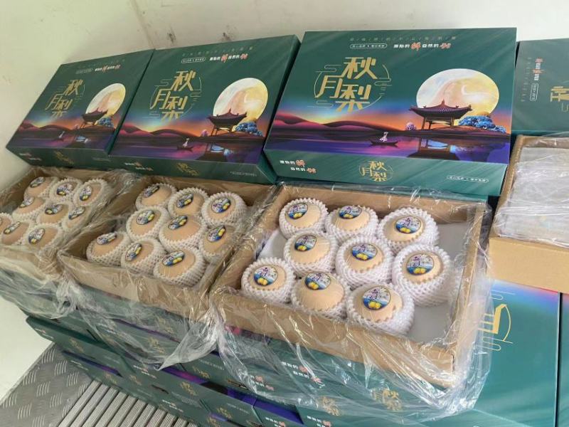 精品秋月梨，礼盒包装！对接电商平台，各大水果交易市场