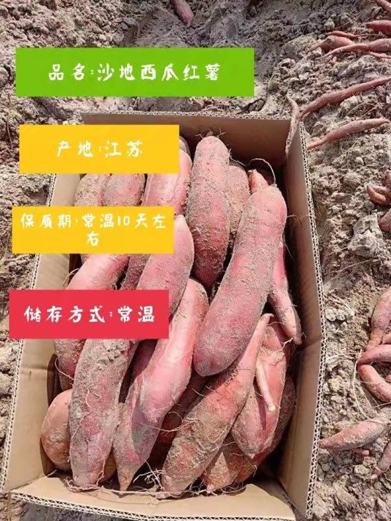 江苏宿迁沙地西瓜红蜜薯，精品红薯合作社原产地直发