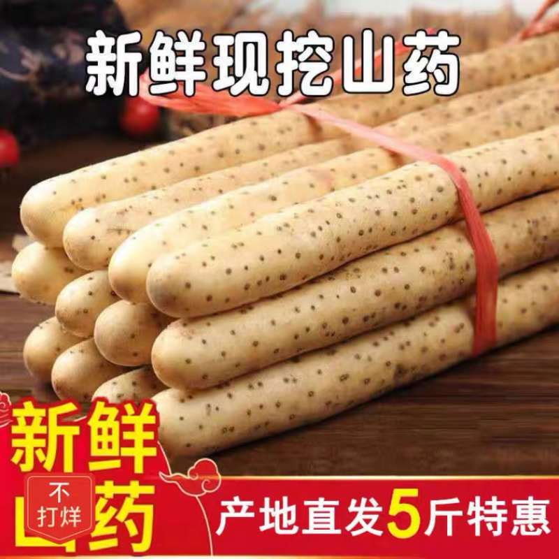 河北原产地小白嘴山药网袋山药精品散货山药