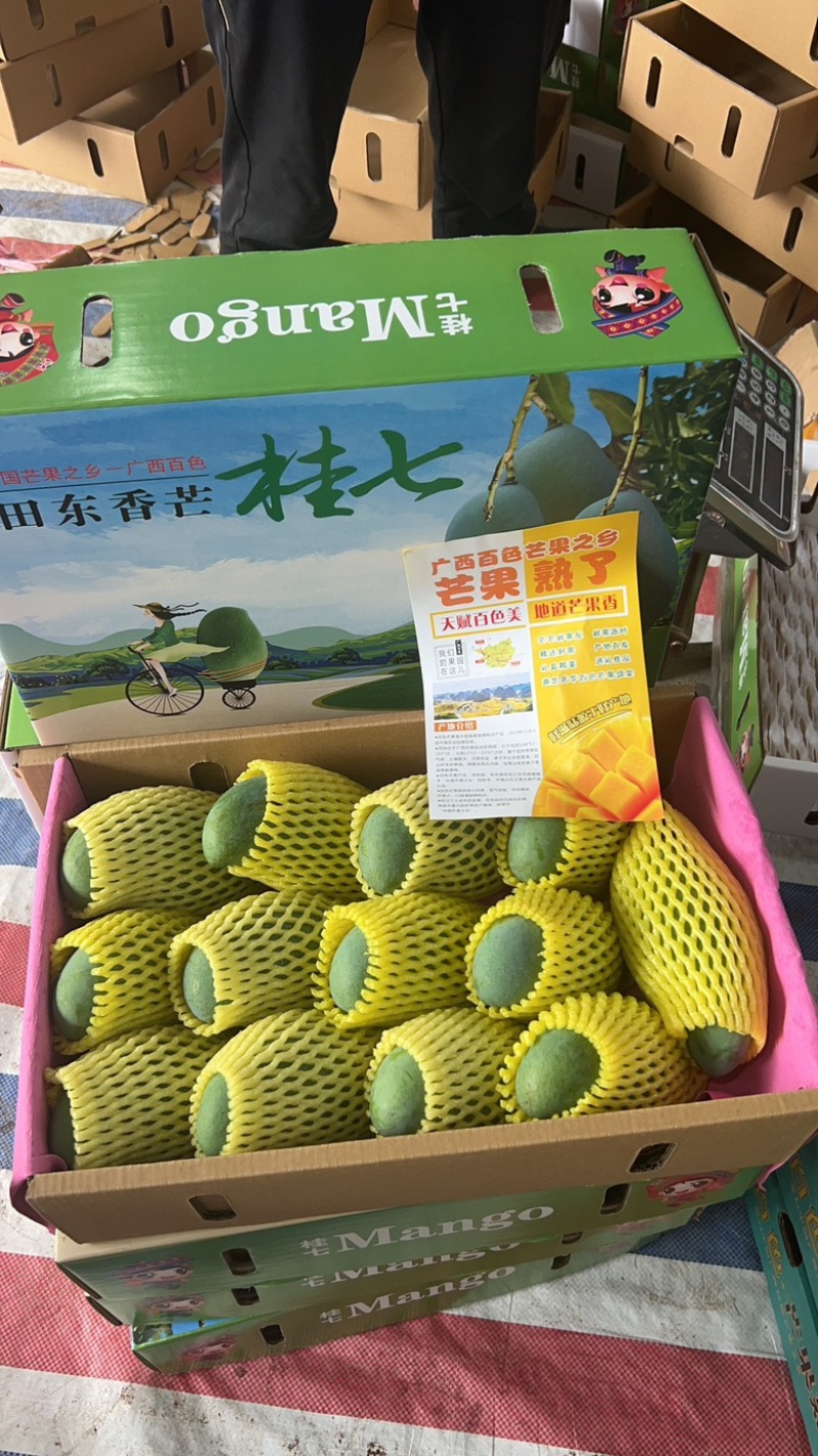 广西桂七芒果，电商平台，社区团购，落地配，市场货对接