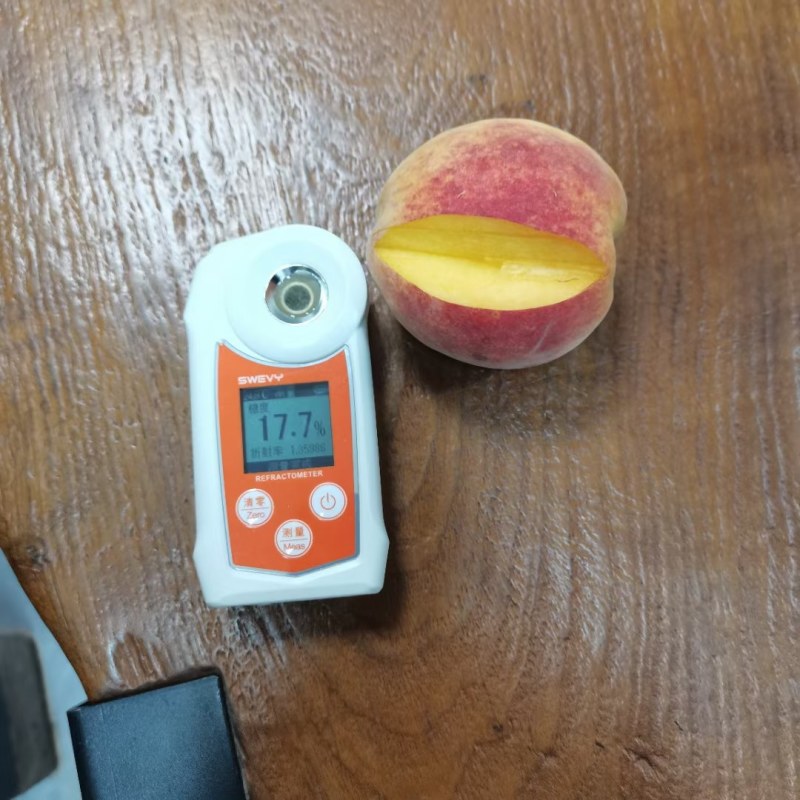 建宁锦绣黄桃