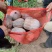 金香南瓜千亩基地直供外贸档口商超电商，欢迎采购