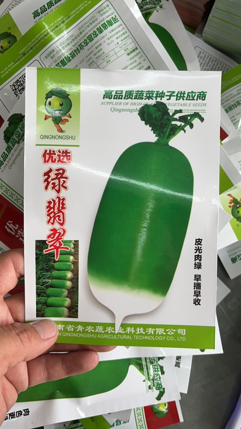 绿翡翠绿玉青萝卜种子皮色翠绿生长速度快品质好产量高