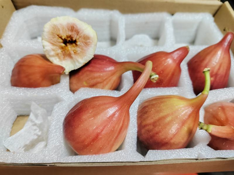 无花果鲜果省内包邮到家