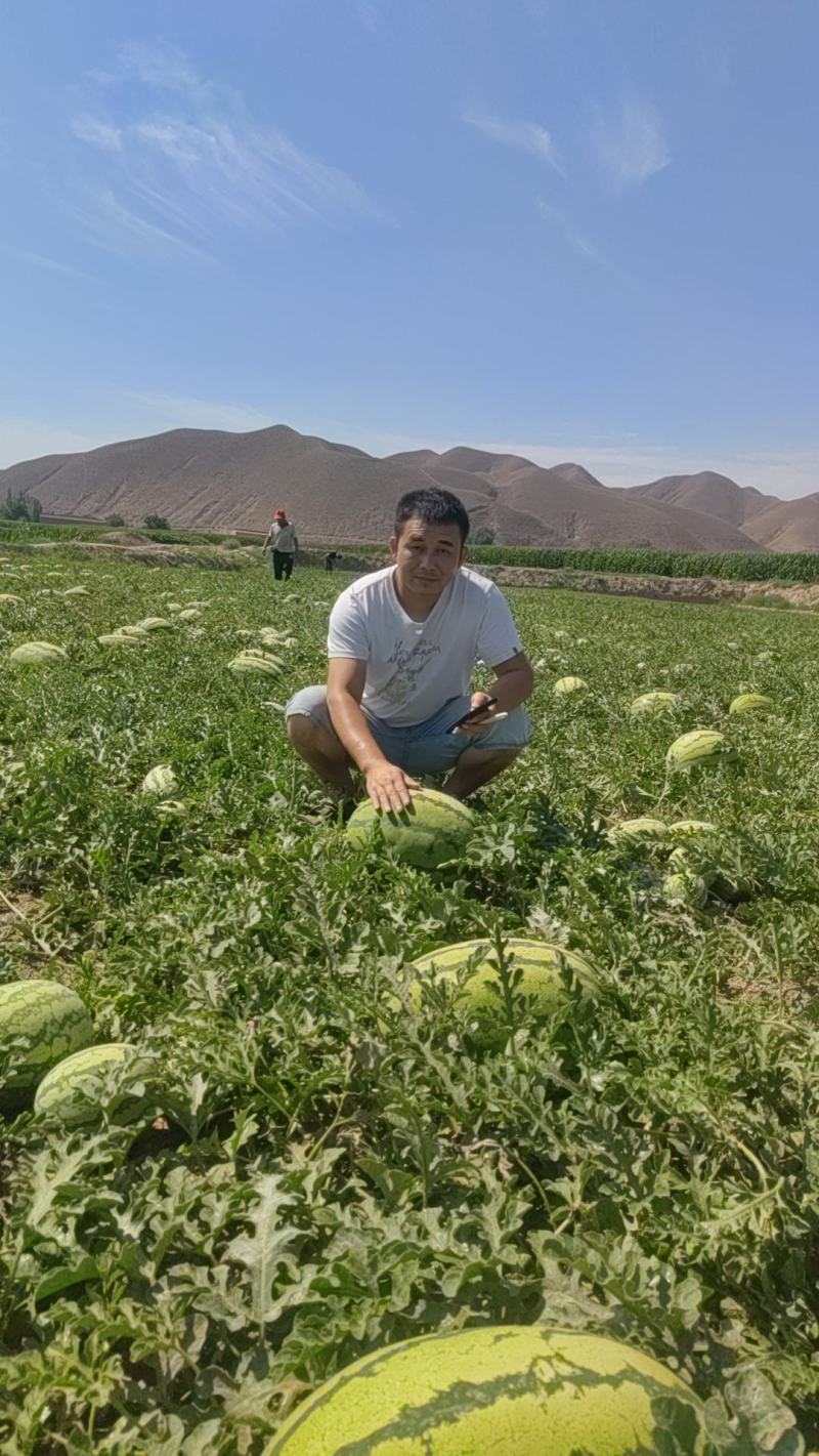 宁夏中卫硒砂瓜大量上市对接全国客商可视频产地看货欢迎致电