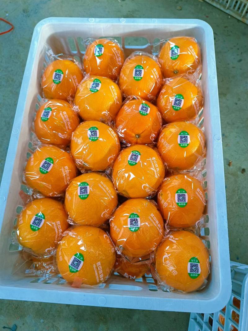 夏橙产地大量销售中，正季吃橙子，对接电商平台社区团购商超