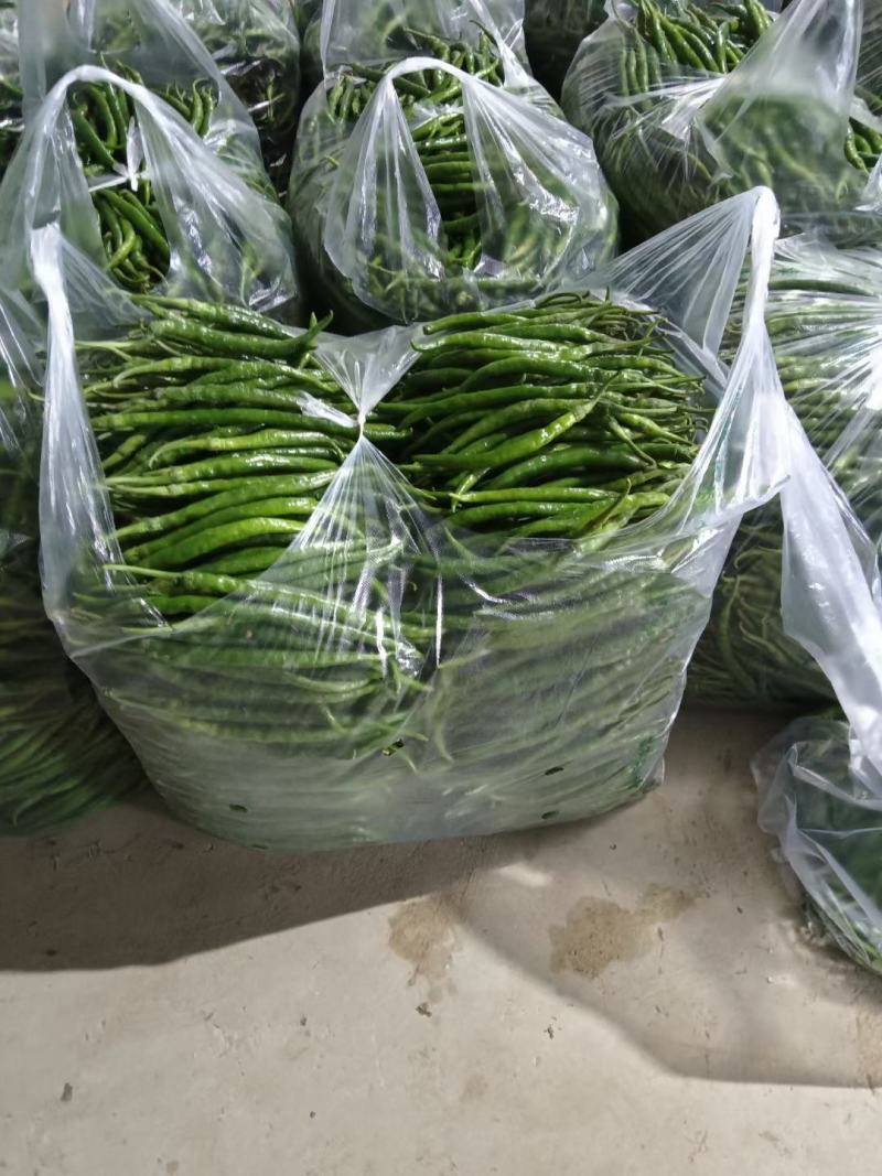 2荆条大量上市，有需要的联系。