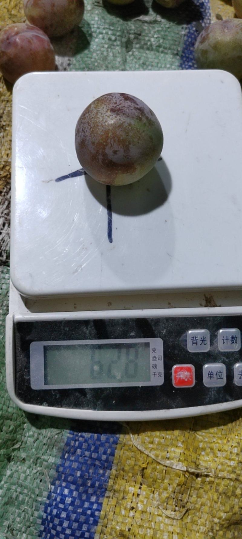 蜜饯李冰脆李纯甜多汁脱骨可视频看货支持线上保障交易