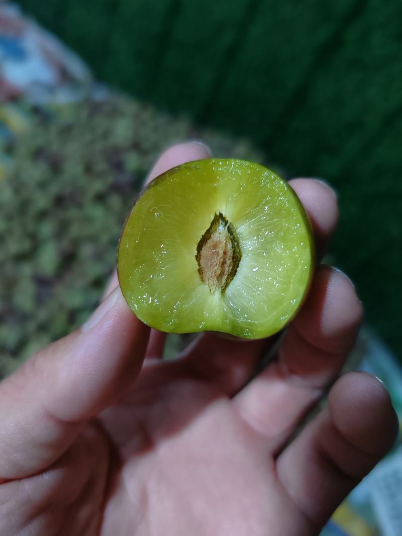 蜜饯李冰脆李纯甜多汁脱骨可视频看货支持线上保障交易