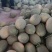民勤晓蜜25号皮薄肉厚，产地直发，货源充足。