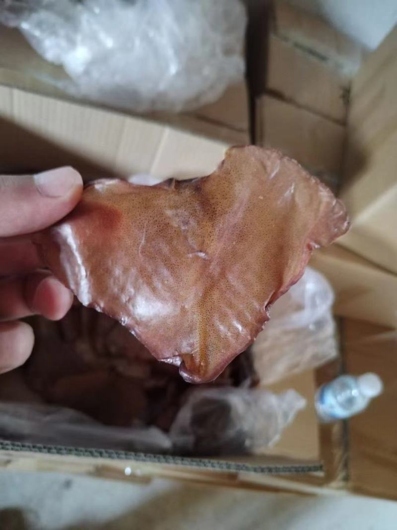鱿鱼耳，干耳，干度很好，产品非常干净，品质高，价格便宜。