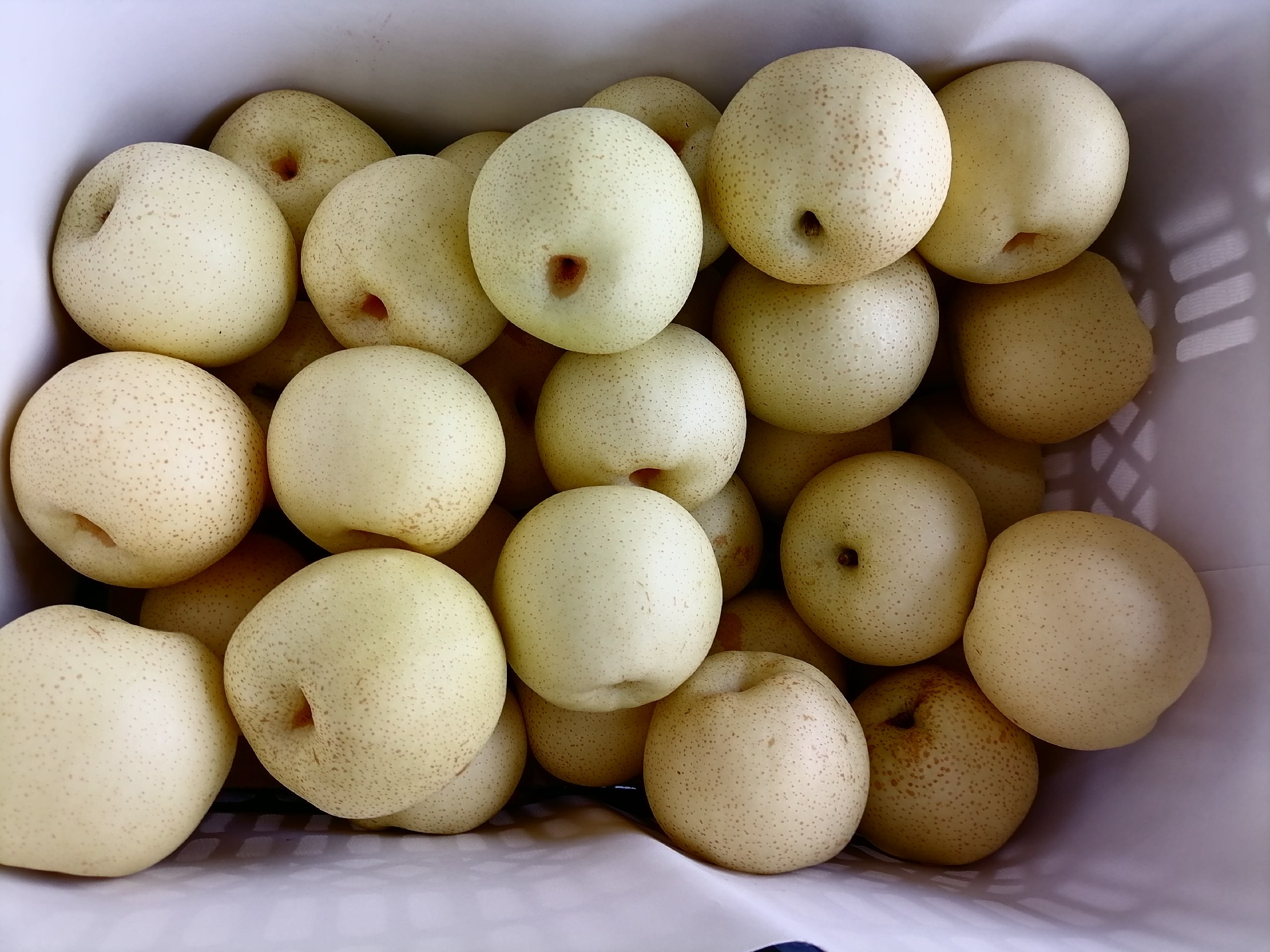 皇冠梨煮水成品图