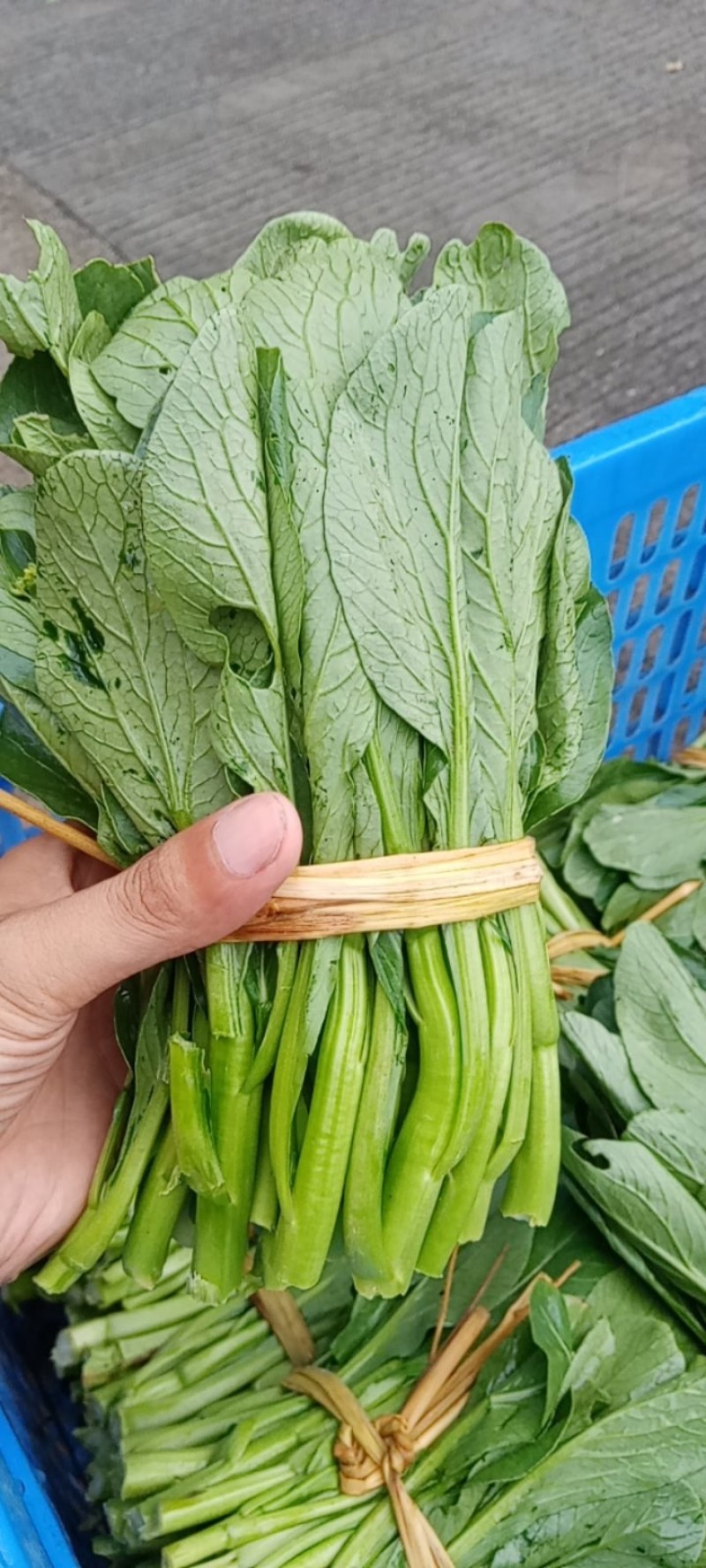 本地菜心仔