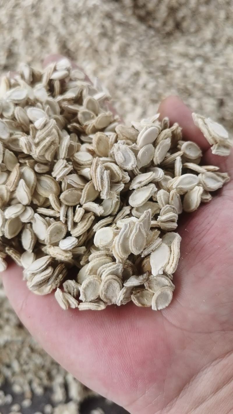 双边冬瓜子单边冬瓜籽新货颗粒饱色白无异味自然凉晒大货供应