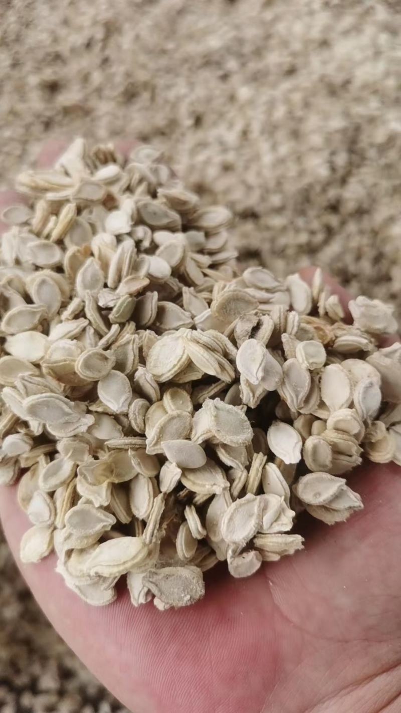 双边冬瓜子单边冬瓜籽新货颗粒饱色白无异味自然凉晒大货供应