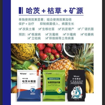 三合一套餐