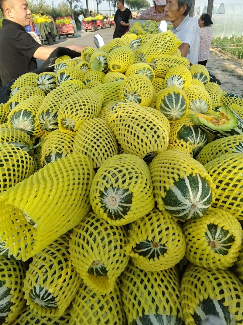 甜瓜