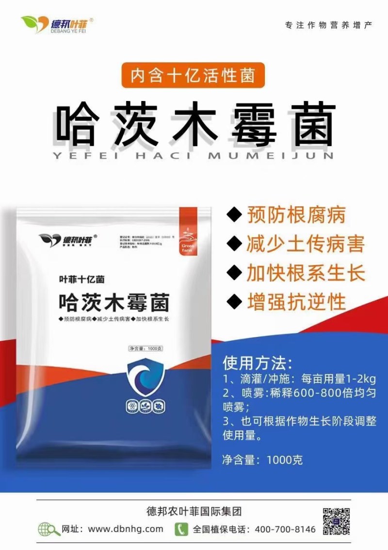 三合一套餐