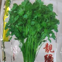 大叶香菜种子