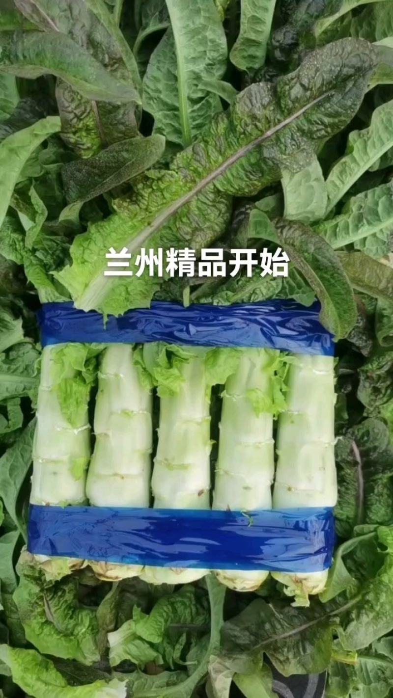 兰州精品红笋大量上市