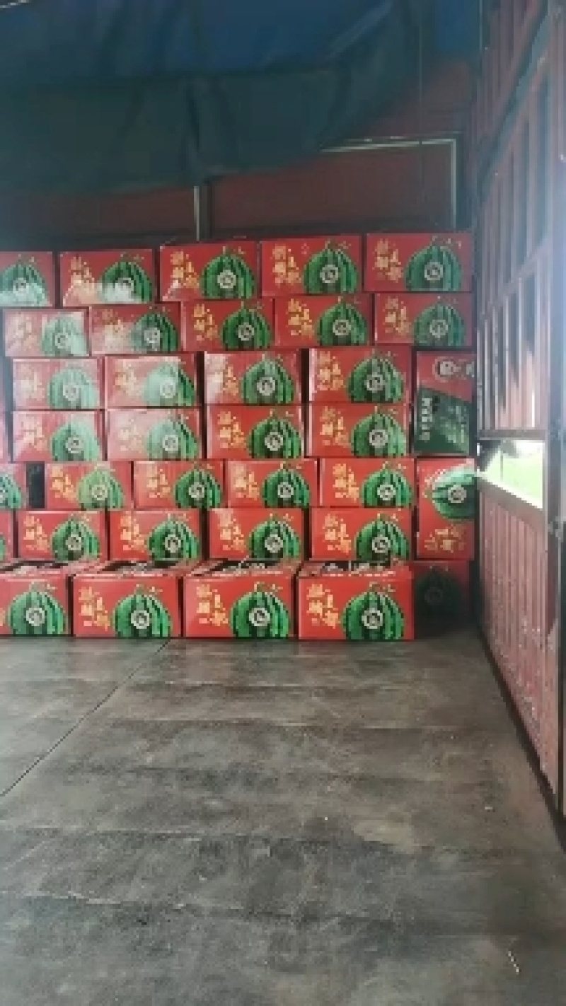 精品无籽美都大量上市供应，欢迎前来选购，质量保证售后无忧