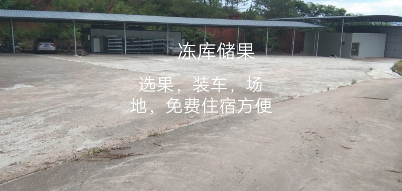 赣南脐橙稀土之乡富硒脐橙自产直供接受预订，提供仓储