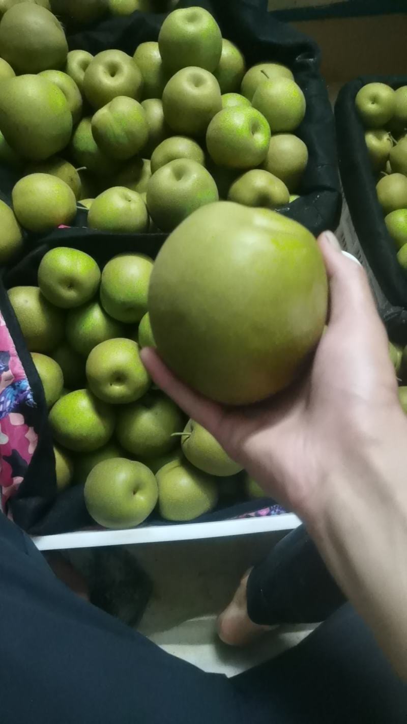 市场，电商，大量货源