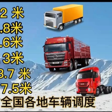 物流信息全国调车