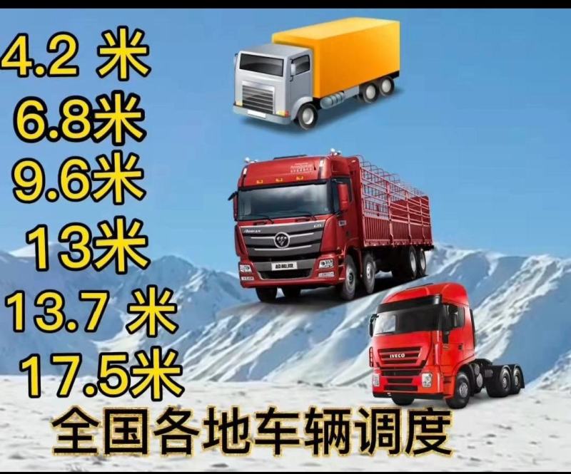 物流信息全国调车