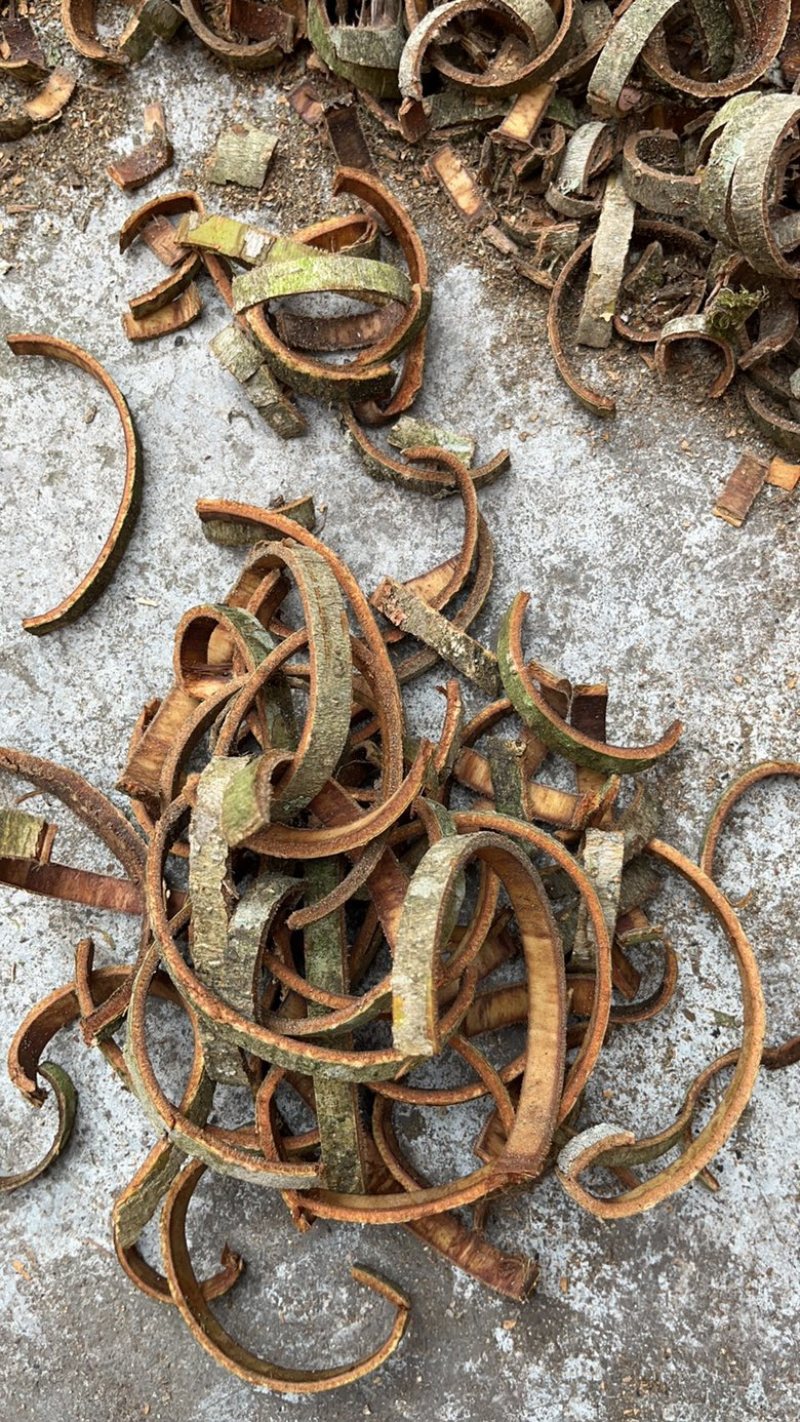 厚朴丝