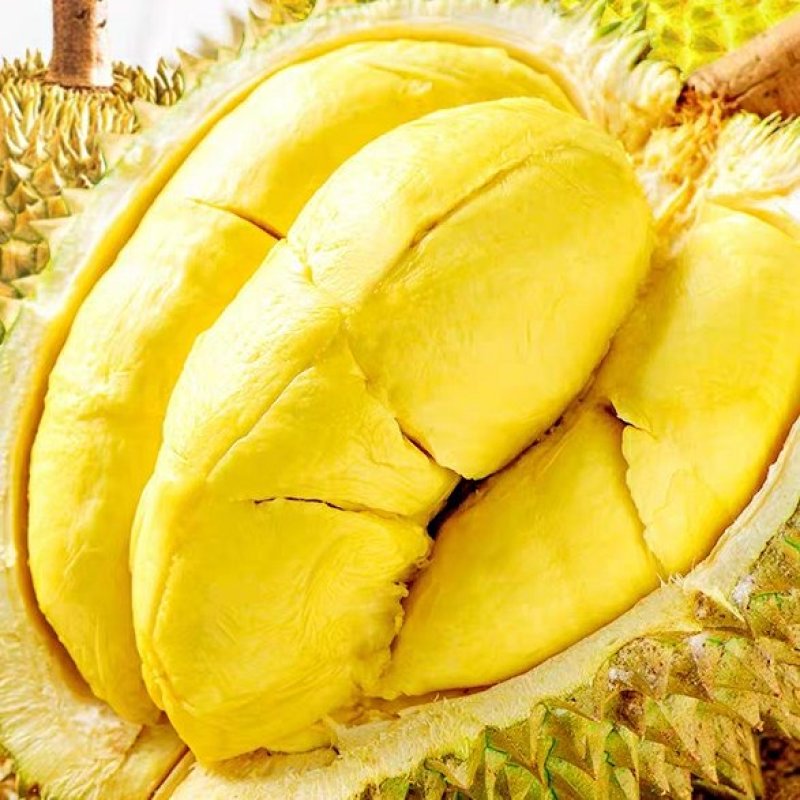 金枕榴莲一件代发包邮对接直播平台团购微商批发整柜