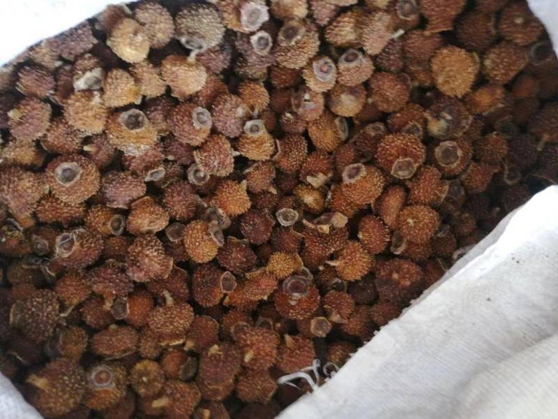 刺梨干大果