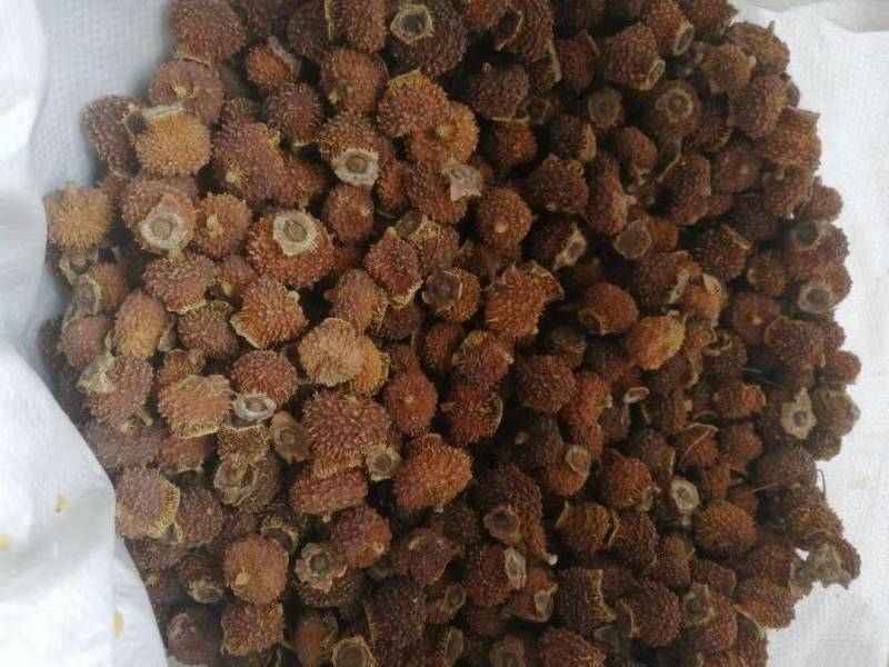 刺梨干大果