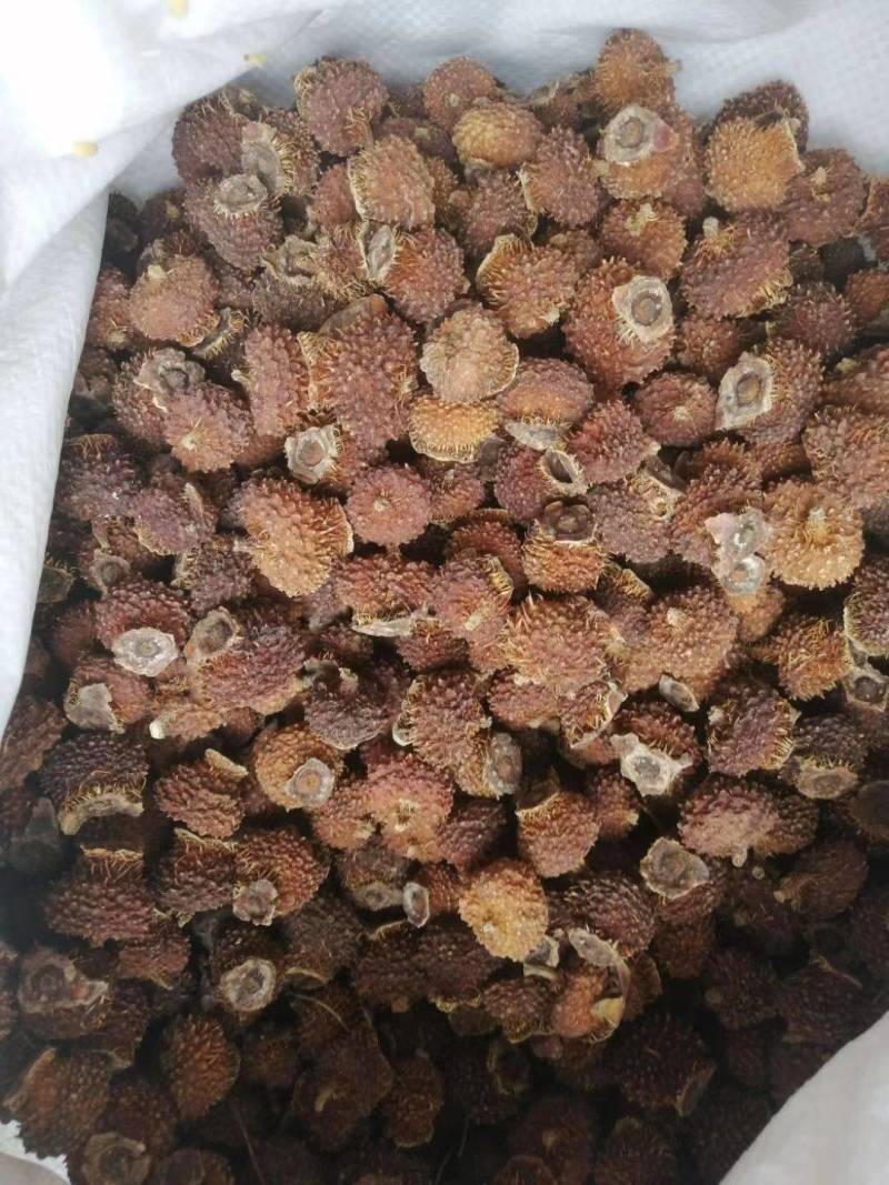 刺梨干大果