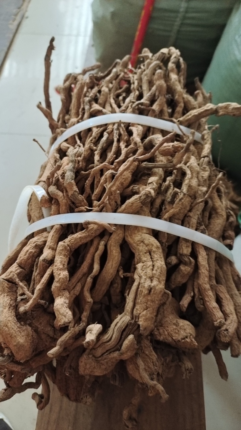 海南胡椒根