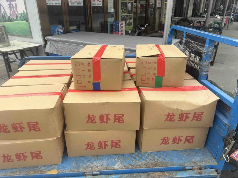 精品纯干龙虾尾