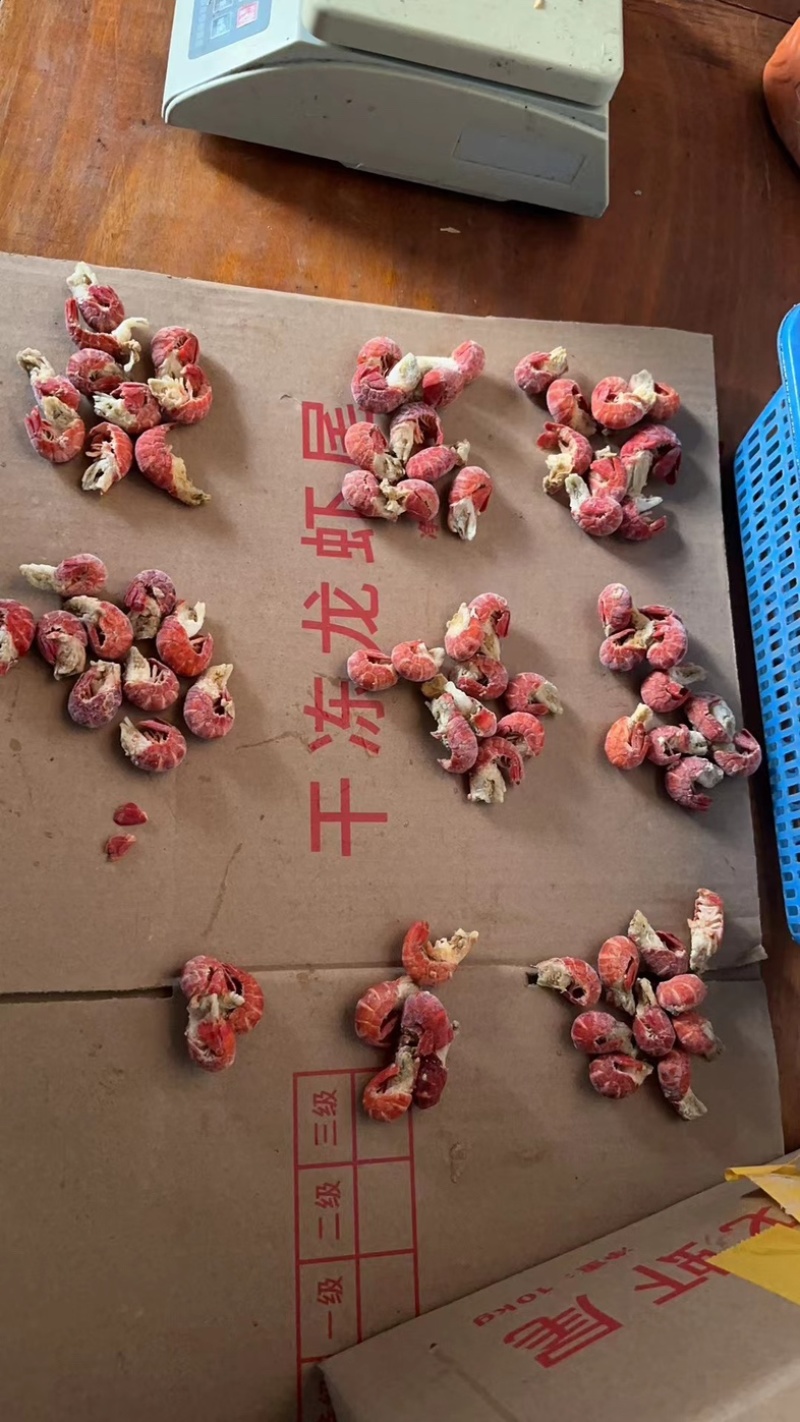 精品纯干龙虾尾