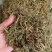 中药材软肝草新货无硫保证质量价格便宜